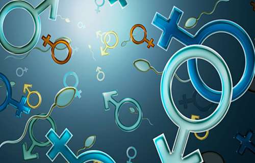 各国奇特的壮阳食物